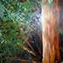 tree close-up